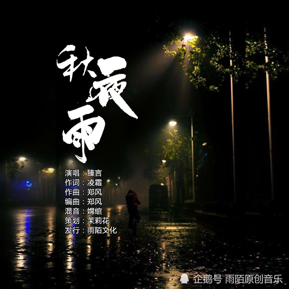 秋夜雨寒最新小说，情感与命运的缠绵交织