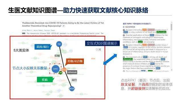 新澳天天开奖资料大全1052期,综合研究解释定义_WearOS47.203