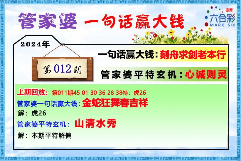 22023管家婆一肖中特,全面理解计划_W72.269