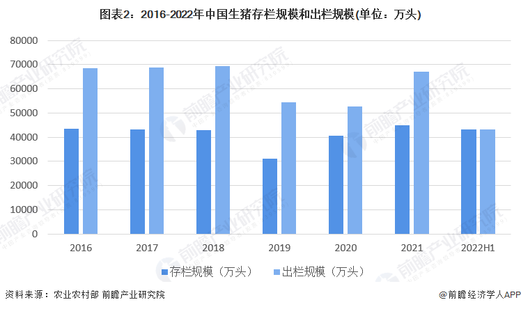 2024新奥免费资料,深层策略执行数据_MP13.78