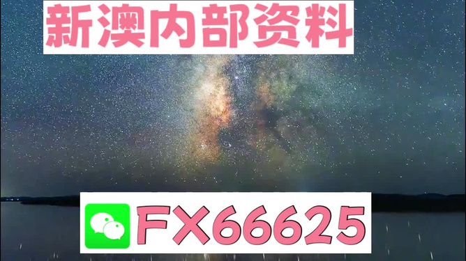 新澳天天彩资料大全最新版本,时代说明评估_DX版66.196