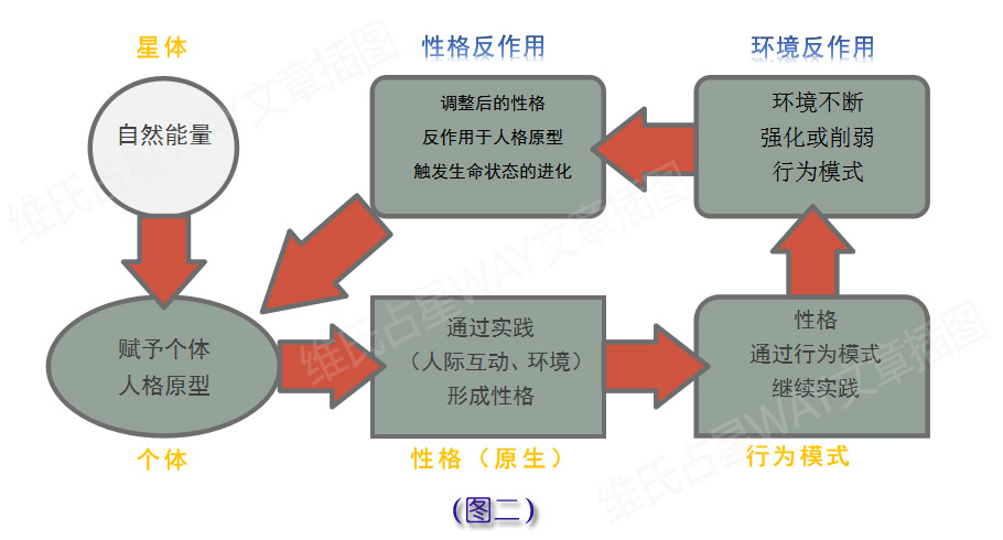 新澳今天最新资料水果爷爷,完善的执行机制解析_SHD19.311