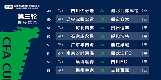 新澳门四肖三肖必开精准,全面计划解析_粉丝款39.920