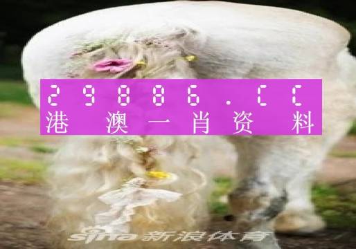 2024澳门第08期一肖一码,专业问题执行_复刻版82.571