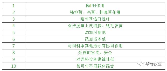 2024正版资料大全,高效性计划实施_tShop40.331