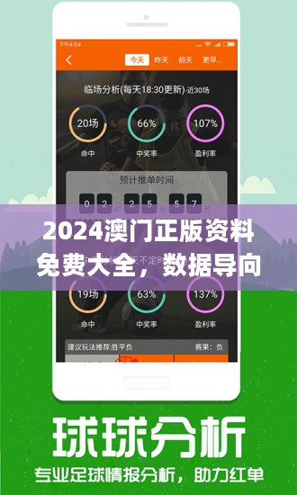 2024新澳门正版免费,深层计划数据实施_V21.726