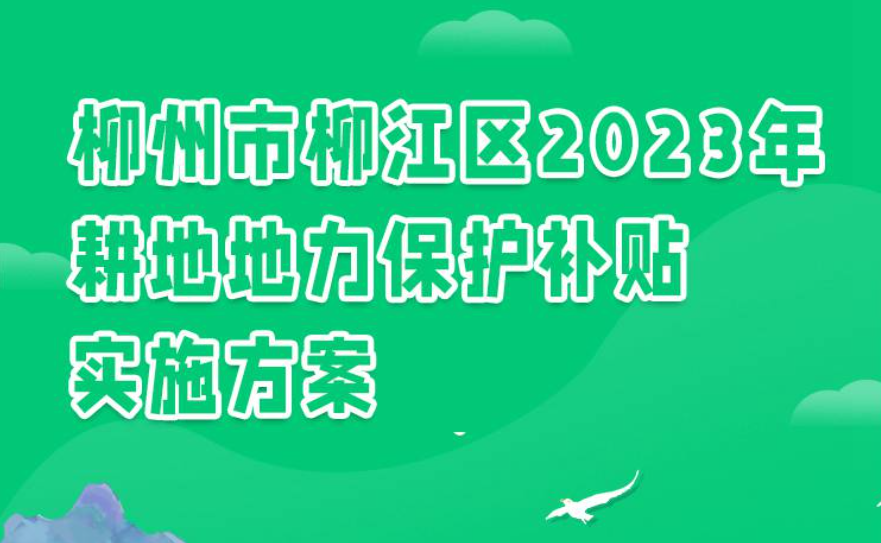 202管家婆一肖一吗,传统解答解释落实_Superior46.943