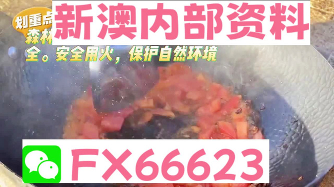 新澳门一码中精准一码免费中特,动态说明解析_MT62.523