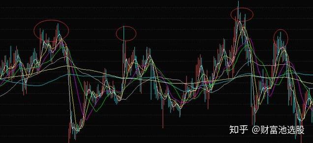 2024新奥资料免费精准,深度评估解析说明_AR31.523