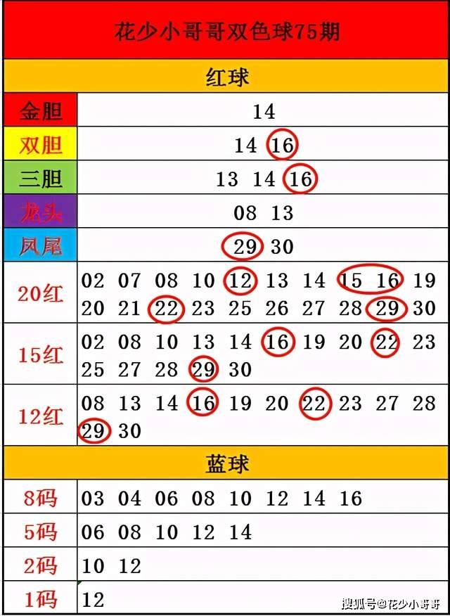 白小姐今晚特马期期准六,全面数据策略解析_FT93.627