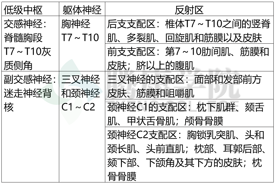 澳门一码一肖一特一中直播,有效解答解释落实_SE版60.770