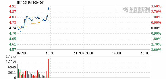 鹏欣资源最新公告引领企业迈向新高度