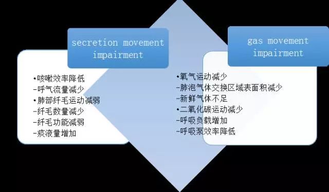 肺康复的最新定义及其在临床实践中的关键价值