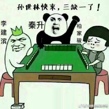 逗妹最新热点吐槽，热点话题深度解析