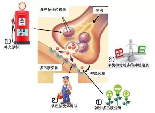 帕金森特效药最新研究与应用进展