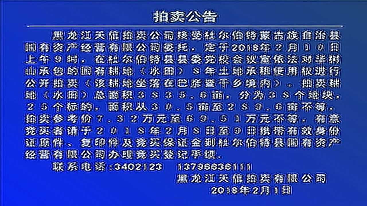 哈尔滨拍卖市场最新动态，探寻城市拍卖市场的最新脉搏