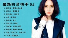 快手最新DJ歌曲，引领潮流的音乐风暴