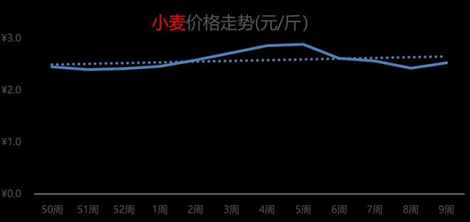 阜南小麦最新行情解析