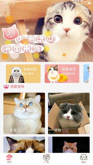 猫咪官方最新版本，全新功能与特色探索