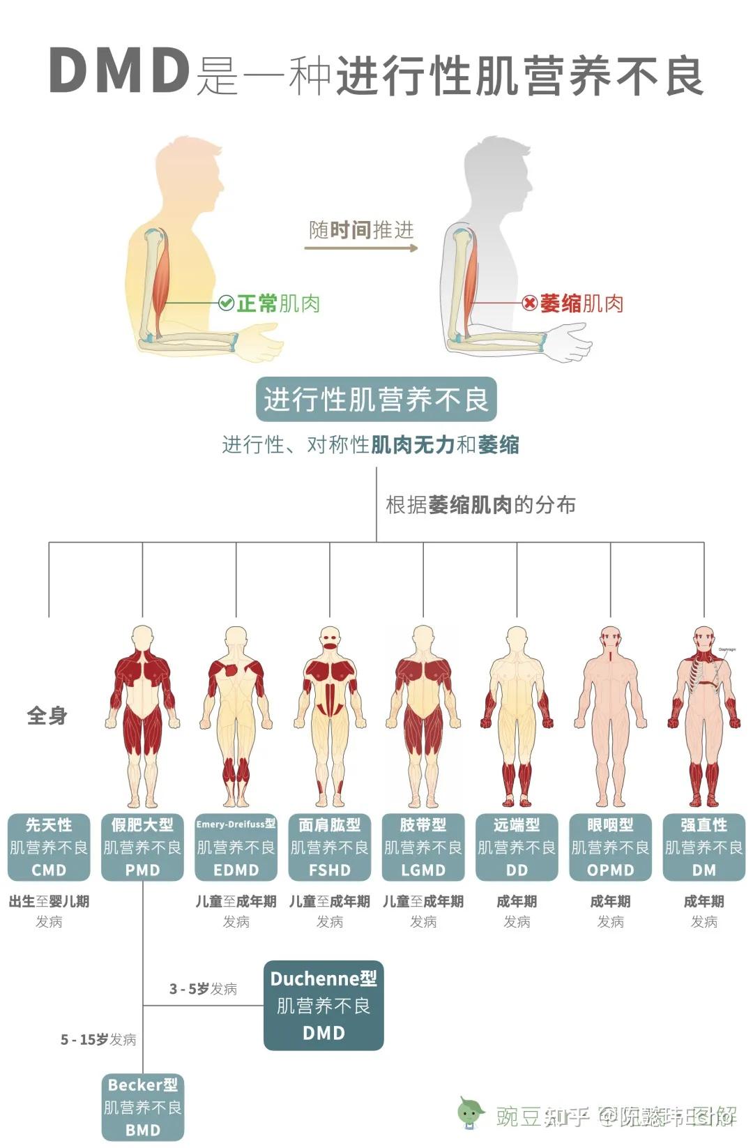 技术咨询 第84页