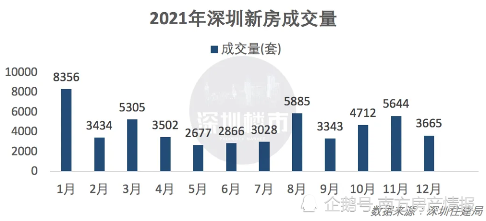 深圳房价最新动态，市场走势、影响因素与未来展望新闻发布