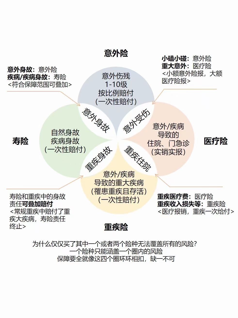 最新人寿保险险种概览及特点解析