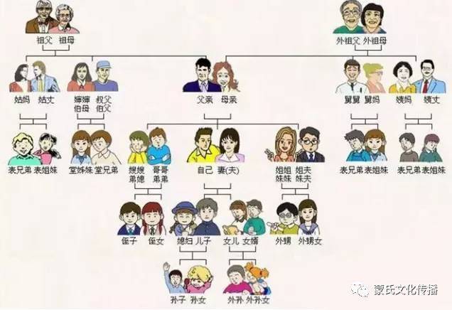 最新家族名字的魅力探寻与传承之路