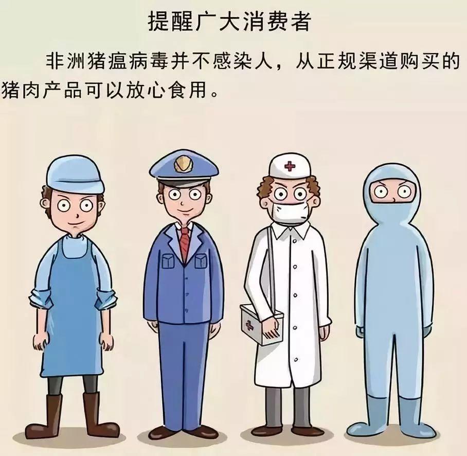 全国非洲猪瘟最新动态报道