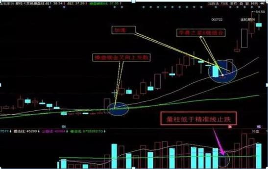 金轮股份最新消息综述，企业动态与市场反应