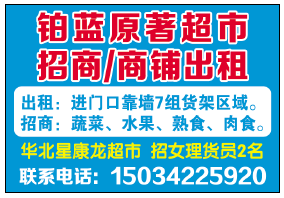 潍坊晨鸿信息最新招聘动态概览