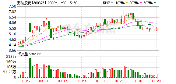 鹏翎股份最新消息全面解读与分析