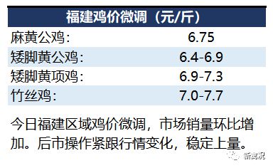 鸡价网最新动态解析报告