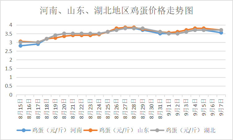 山东鸡蛋价格最新行情解析