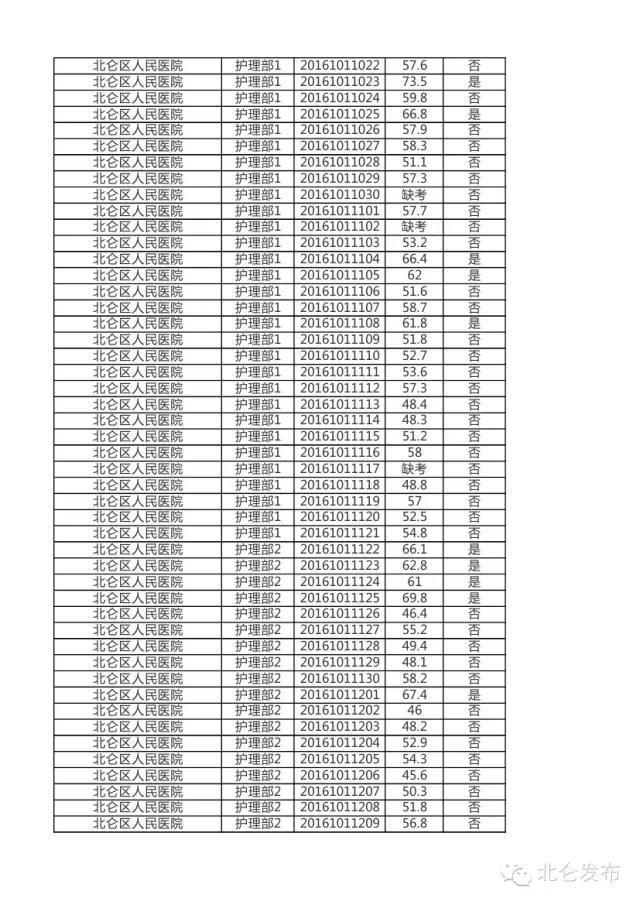 宁波北仑最新招聘动态及其社会影响分析