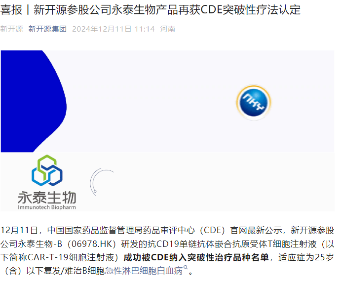 最新网C，数字未来门户的探索者