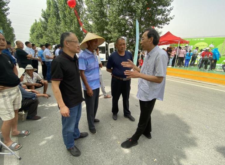 苍山大蒜今日行情，最新价格、市场走势与影响因素深度解析