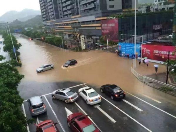 深圳暴雨最新消息及其影响概述