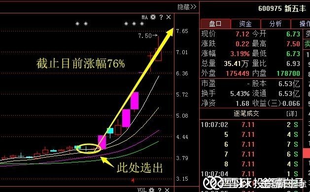 白马股的投资魅力与机遇解析