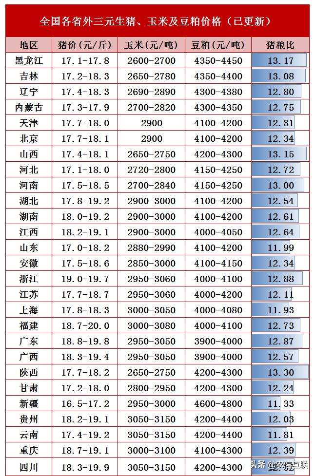 粮食期货最新价格走势解析